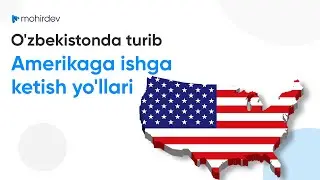 O'zbekistonda turib, Amerikaga dasturchi sifatida ishga ketish yo'llari.