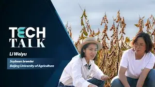 Tech Talk: She-power in soybean breeding