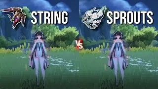 Is Zhezhi’s Signature Weapon Really Worth It? R1 Stringmaster vs R1 Rime-Draped Sprouts Comparisons!