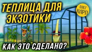 Теплица для экзотики.  Как это сделано.