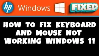 HP Laptop -  How to Fix Keyboard and Mouse Not Working Windows 11