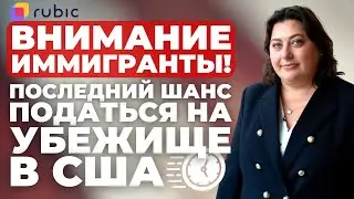 Иммиграционный адвокат Марина Шепельская: Сейчас лучшее время подавать на убежище