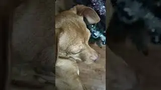 С новым годом:3