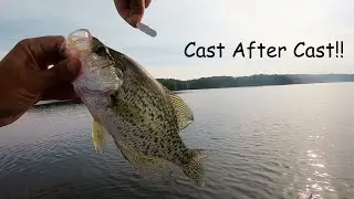 I Caught Crappie CAST AFTER CAST On This TINY Bait! (MUST TRY!)