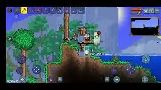 เล่นTerrariaสายsummonแบบไม่ตัดต่อ