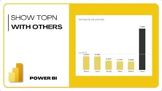 Show Top N with 'Others' in Your Visuals | Power BI Tutorial