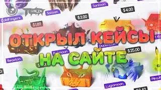 ОТКРЫЛ КЕЙСЫ НА САЙТЕ | DRAKEMOON.COM