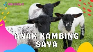 🔴 LAGU ANAK KAMBING SAYA - Lagu Anak Indonesia | Lagu Anak Populer | Lagu Anak Terbaru