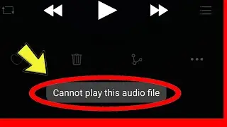 Cannot Play this Audio File & Mp3 In Android Music Player