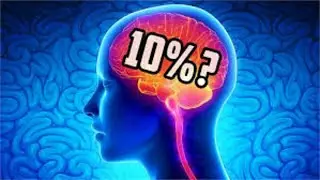 What Percentage of the Human Brain Is Used?