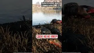 Сдох но не умер! #short  #survival #evrima #theisle