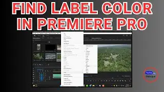 How to Find Label Color in Premiere Pro