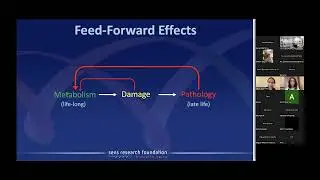 Science Writer Michael Rae Presents: Damage-Repair is the Superior Approach Against Aging