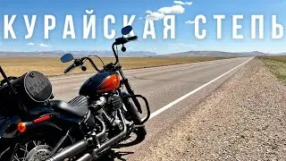 Курайская степь на Harley - красота свободы Алтая