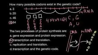 How many possible codons exist in the genetic code