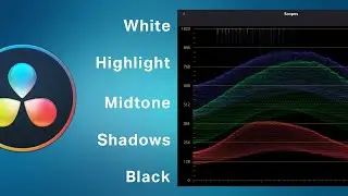 How to read Waveform in Davinci Resolve 17