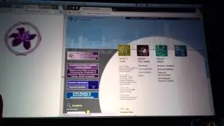 Google Search by Image