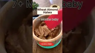 Wheat Almonds Halwa for babies #shorts #viral