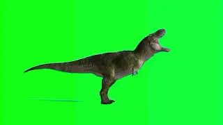 Tyrannosaurus rex green screen video Dinosaurs  free 4k