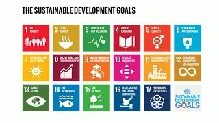 Do you know all 17 SDGs?