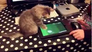 Дуся и iPad