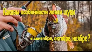 Каковы особенности ловли щуки в сентябре, октябре, ноябре ?