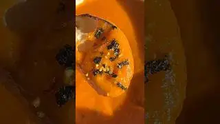 Sweet potato soup