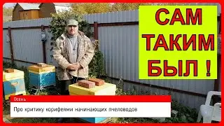 🔴 Про пчеловодство для начинающих и критику 🔴