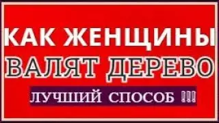 Как спилить дерево в нужном направлении Спил и валка большого дерева Спил деревьев