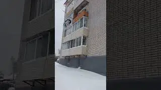 Николаевск. Обзор. район Центральной почты. Милиция, полиция, ЦДТ, Парус, зубники, Брат-2