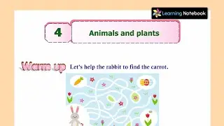 Class 3 Animals and plants