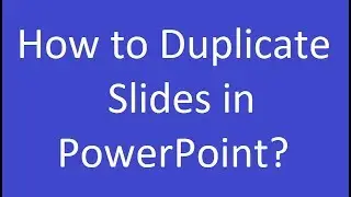 How to Duplicate Slides in PowerPoint?