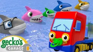 Baby Truck Vs Baby Shark | Geckos Garage Songs｜Kids Songs｜Trucks for Kids