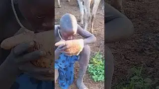 blood drinking Suri tribe Omo Valley Ethiopia #shorts #ethiopia #omovalley #omoadvisor #omoriver