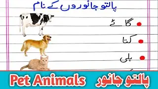 10 Pet Animals Name in Urdu | 10 Paltu Janwar Ke  Naam | Janwaron ke Naam Urdu Mein