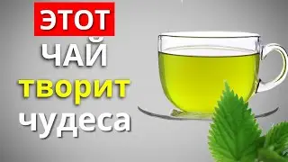 Вот Что будет с организмом, если пить за 20 минут до еды Чай из листьев Крапивы