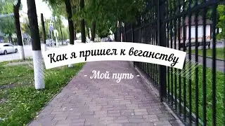 Как я пришел к веганству (мой путь)