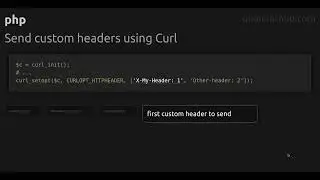 Send custom headers using Curl