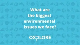 What are the biggest environmental issues we face?