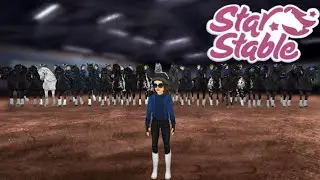 How to own a successful Dressage Club SSO