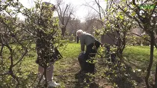 В сквере у Губернского рынка прошел субботник