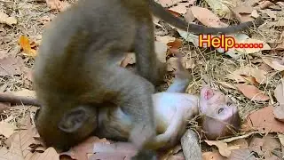 Oh no!! David that so hurt for baby Baron / Monkey Post