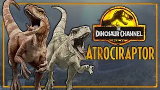 What Was The Atrociraptor? - The Dinosaur Channel