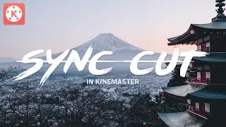 How To Do BEAT SYNC Cut Edit In KINEMASTER | Cut & Sync Footage to Music in ANDROID