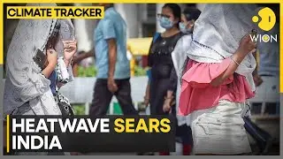 India: Weather department issues heatwave warning | WION Climate Tracker