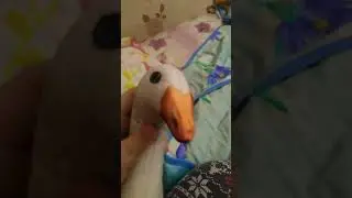 Где мои пельмени?! 