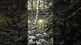 Февраль, как господин...