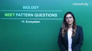 NEET Biology | 36. Ecosystem | NEET Pattern Questions Exercise | In Hindi | By Misostudy