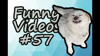 🔥FUNNY VIDEO COMPILATION COUB #57 | SPICY MEME HOUSE🔥