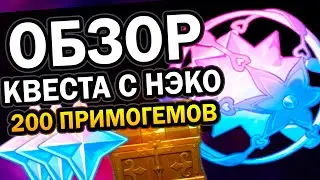 Обзор кошки Нэко | Квест на 200 примогемов Genshin Impact 